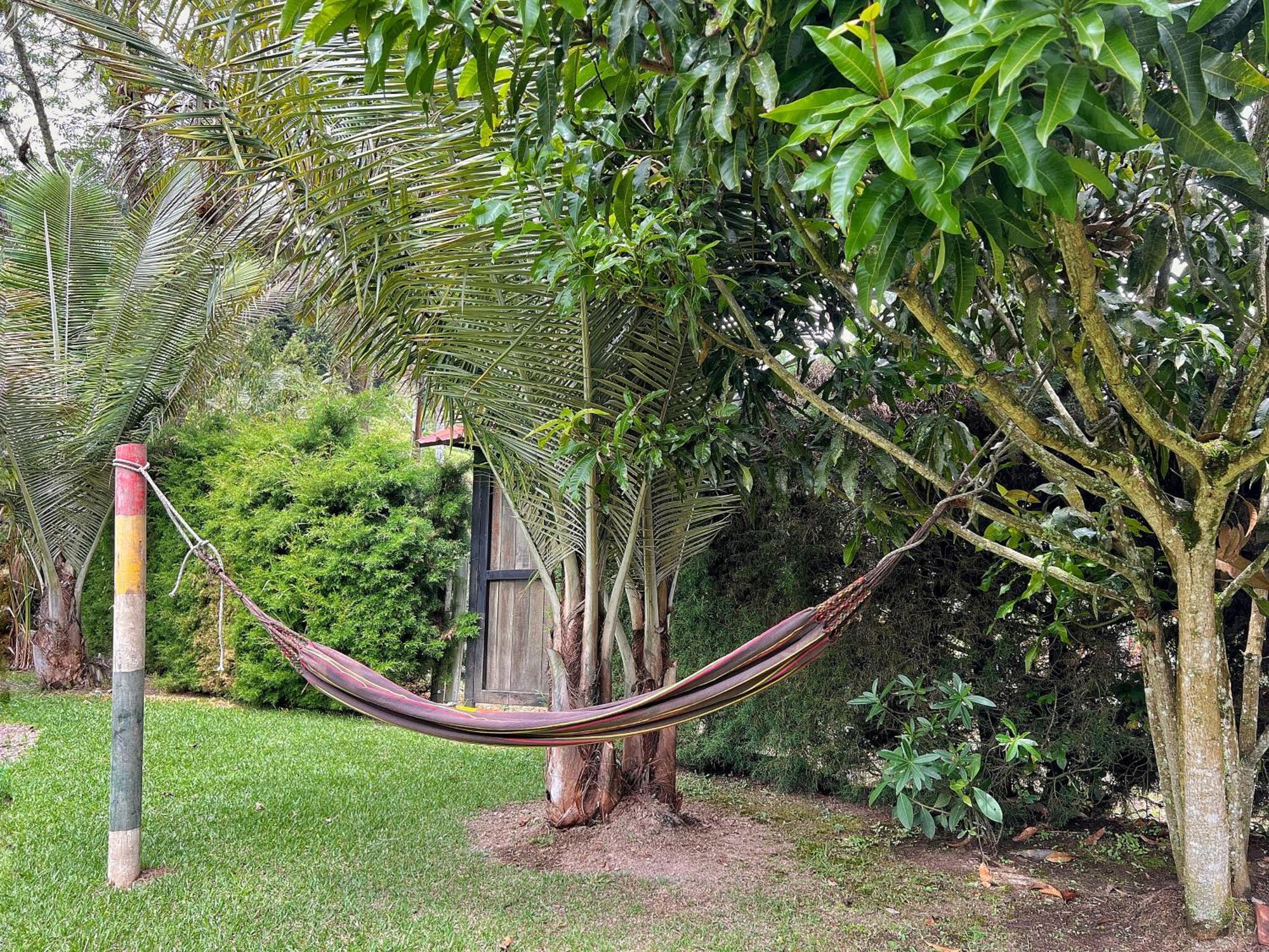 Paraiso Cocora 萨兰托 外观 照片